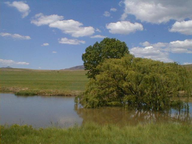 Royal Coachman Villa Clarens Exterior foto