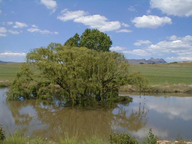 Royal Coachman Villa Clarens Exterior foto